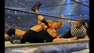 WrestleMania 25.19