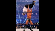 WrestleMania 25.20