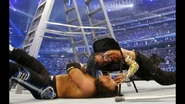 WrestleMania 25.29