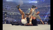 WrestleMania 25.41