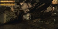 Gray fox ghost