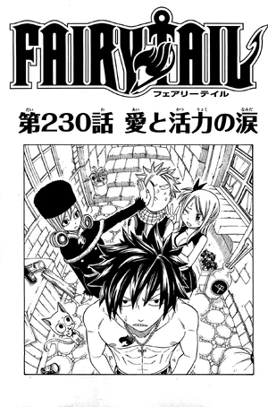 Cover 230