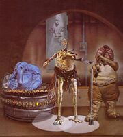 Max Rebo fb