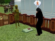 Transmutation
