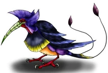 Kafit bird