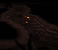 Deter shadows.png