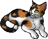 Sweetpaw.star