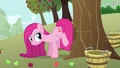 Pinkie Pie has a plan S3E13.png