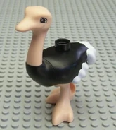 Ostrich Duplo