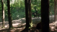 103ThroughTheTrees