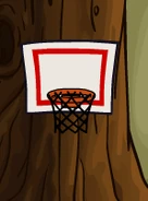 Basketballnetinanigloo