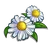 Chamomile-icon