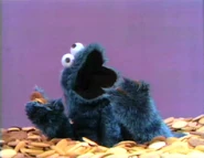 CookieRockSong