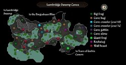 Swamp Caves map