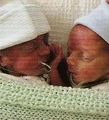 JackandTom2.jpg