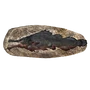 Mounted Slaughterfish