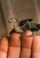 Baby-dragon.jpg