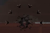 Capture