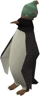 Red Raktuber penguin (blowfish)