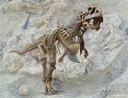 Abelisaurid-dinosaur-forelimbs