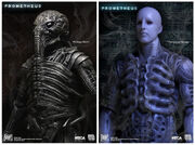 Prometheus space jockey engineer pilot2 pics