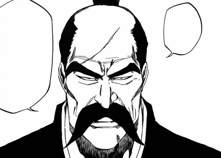 Shigekuni Yamamoto (Seireitou) - Bleach Fan Fiction Wiki