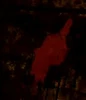 Blood