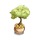 Gold Pot Tree-icon