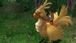 Calli rides Chocobo