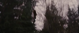 High-jumpfgfg34354kkkfwnrer,gjcv