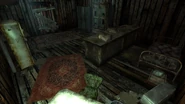 Grandma Sparkle's shack