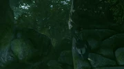 ACIII-RuinCerros 2