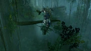 ACIII-RuinCerros 3
