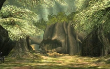 Bosque Farone TP