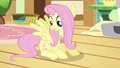 Fluttershy taking a look S3E13.png