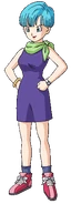 Bulma2013