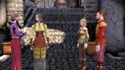 Castle Cousland - Nobles talking