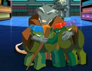 Turtles tots