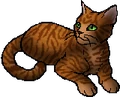 Buzzardstar.star.png