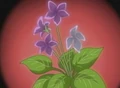 HPC15.Flower