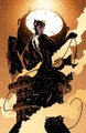 Catwoman 0101