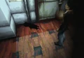 Larval stalker falling