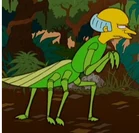 Mantis Burns