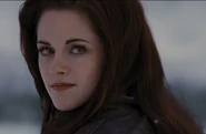 Bella bdp2