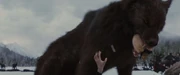 Killing Jane
