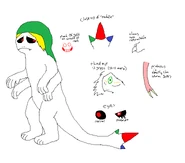 WormBENRefSheet
