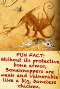 BoneKnapper(armorless)