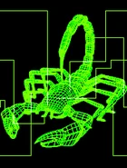 FO1 Scorpion target