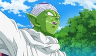 Piccolo vs Bills3