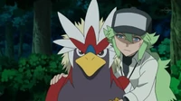EP776